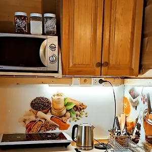 Apartament I Regionalny Styl Ul Bachledy 41, Zakopane